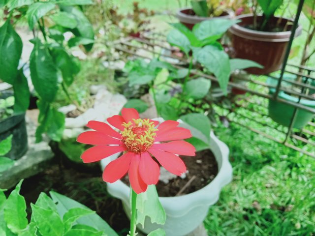IMG20210621133636.jpg