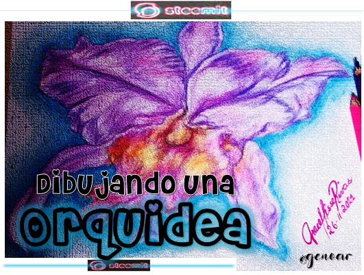 Capture imagen principal orquidea.png