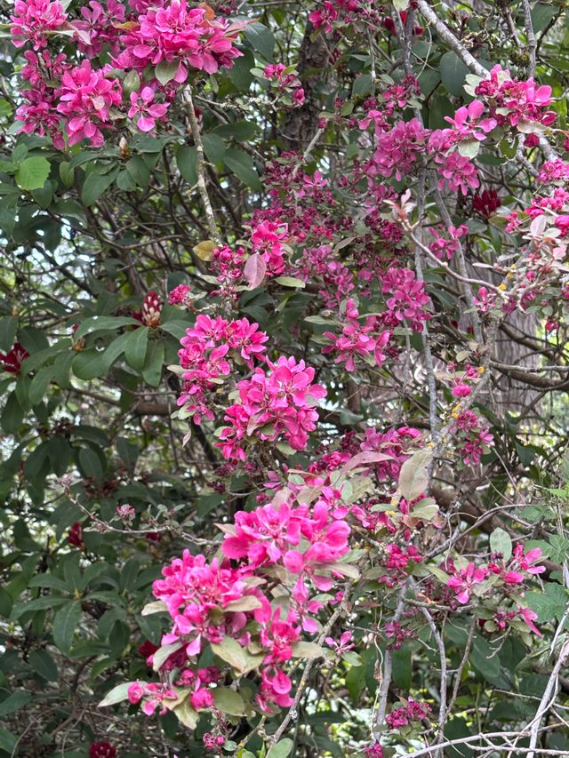 IMG_9057.jpeg