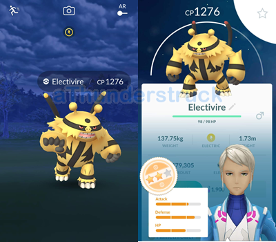 Electivire Special Research.png