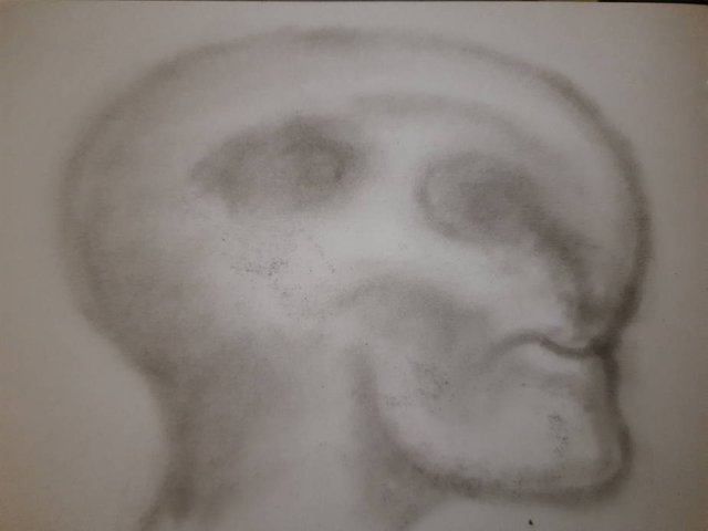 20250822_102749.jpg