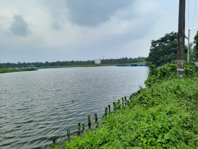 20250531_122728.jpg