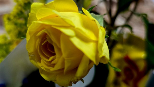 20250512_001757.jpg
