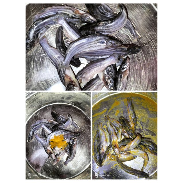 PhotoCollage_1756117173691.jpg
