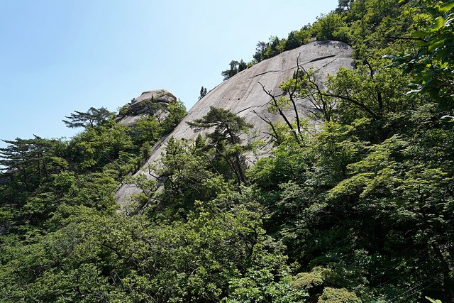 b-DSC05098.JPG