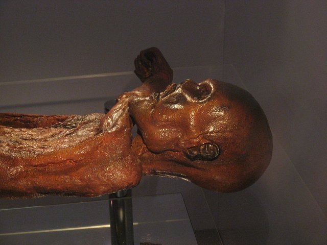 otzi-277986_960_720.jpg