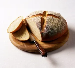 easy-bread-7455dce.webp