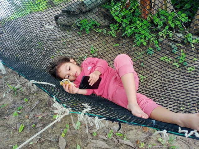 IMG20250913094051.jpg