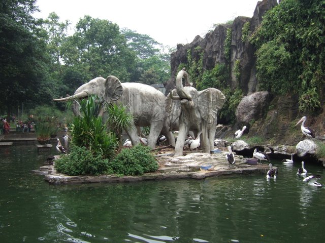 Ragunan_zoo_Jakarta_Indonesia.jpg