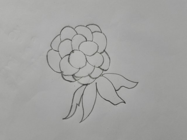 1000018369.jpg