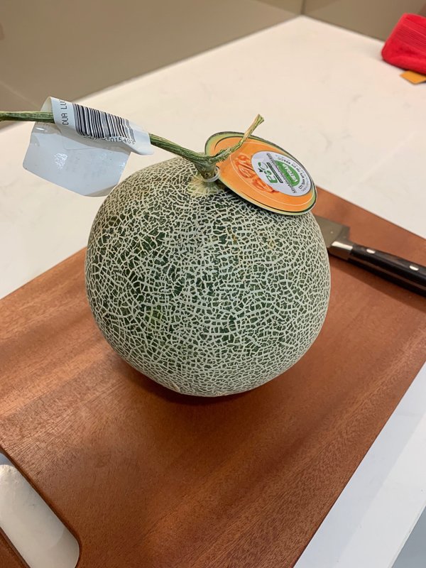 KakaoTalk_Photo_2019-09-07-19-02-50-1.jpg