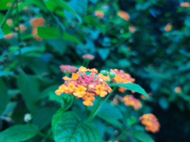 20210910_081409.jpg