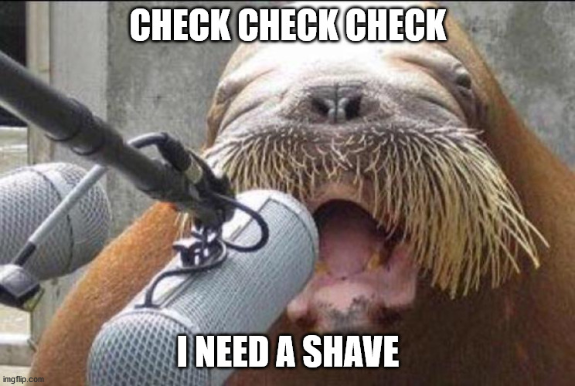 Screenshot_2020-04-02 walrus at microphone Meme Generator - Imgflip.png