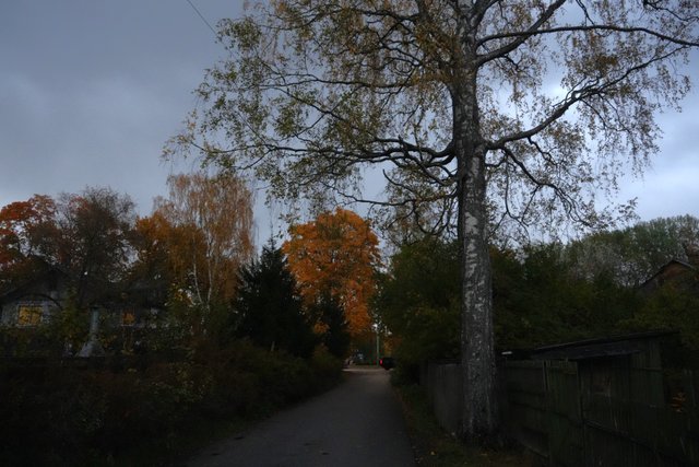 DSC06933.JPG
