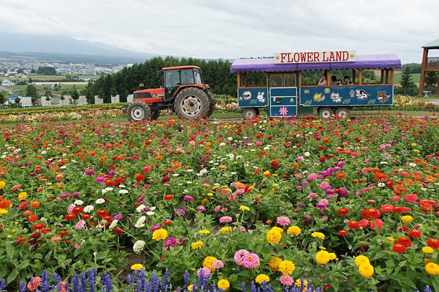 Japan-Hokkaido12802-1031.jpg