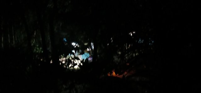 20250516_202316.jpg