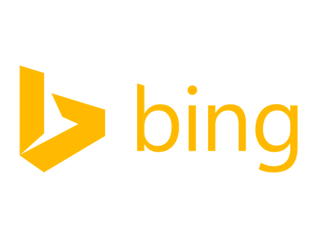 Bing-logo-2013.png