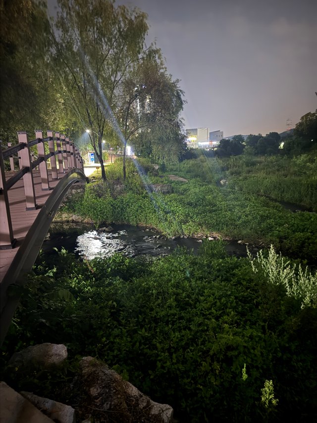 KakaoTalk_20250731_083427696.jpg