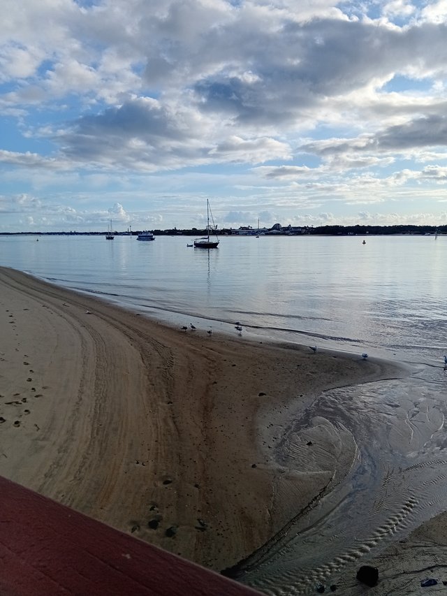 20250914_070554.jpg