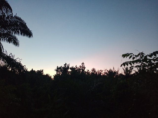 IMG20250806060627.jpg