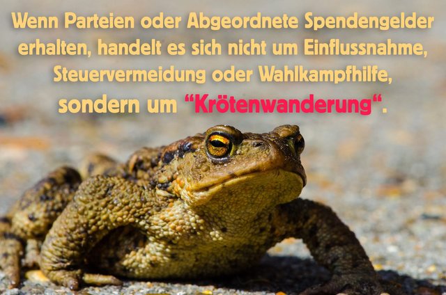 kroetenwanderung_parteispenden_parteienfinanzierung_abgeordnete_spendengelder_einflussnahme_steuervermeidung_wahlkampfhilfe_kritisches_netzwerk_spendenaffaere_schattenspender.jpg