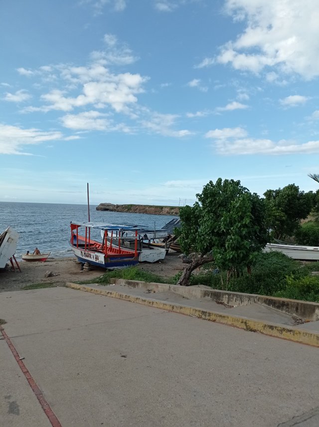 Botes en la avenida 1.jpg