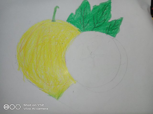 IMG_20250524_222036.jpg