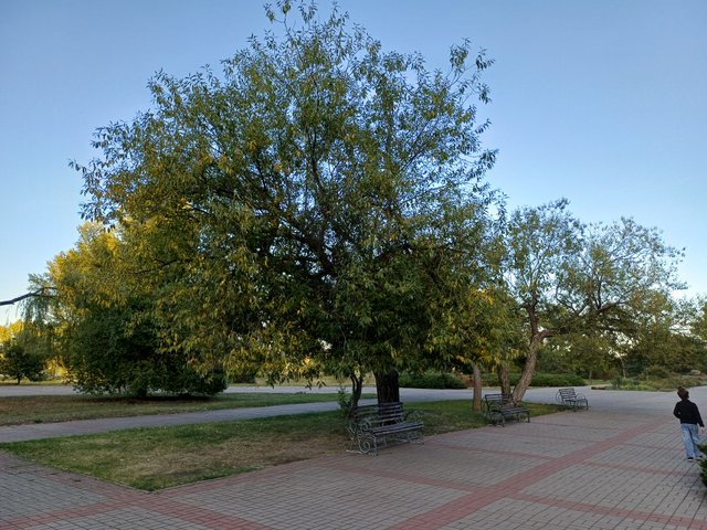 20250920_175253.jpg