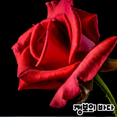 제목을 입력해주세요_-001.png