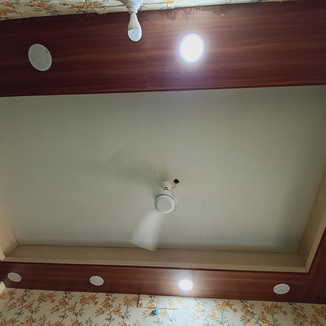 1000028577.jpg