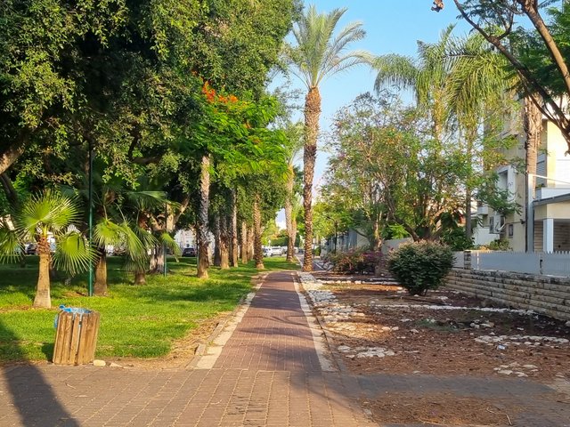 20250611_071156.jpg