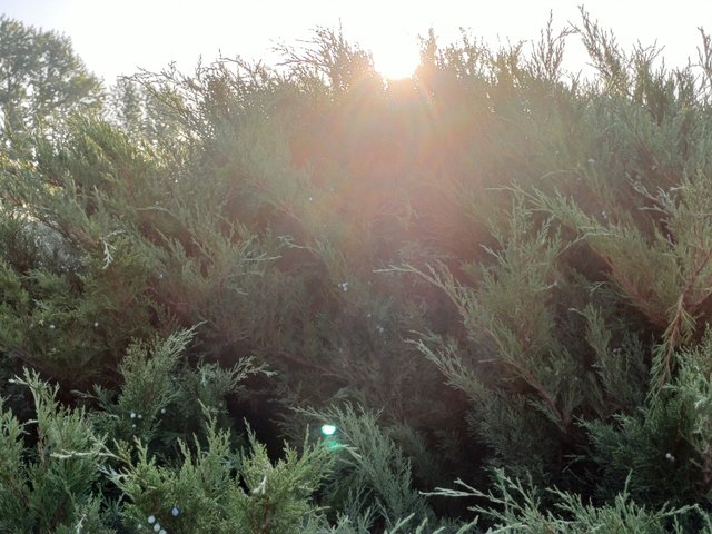 20250902_072443.jpg