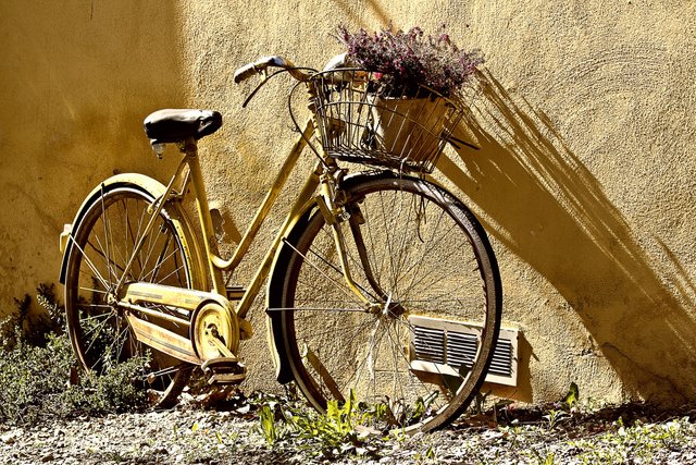 bicycle-bike-flowers-65689.jpg