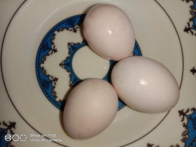 IMG_20250714_160607.jpg