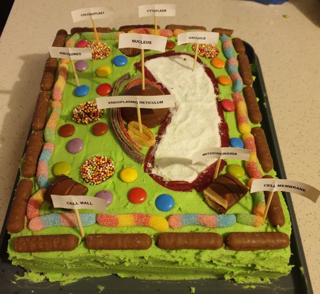 EDIBLE PLANT CELL PROJECT BY CAKE | Florida Science | Flickr