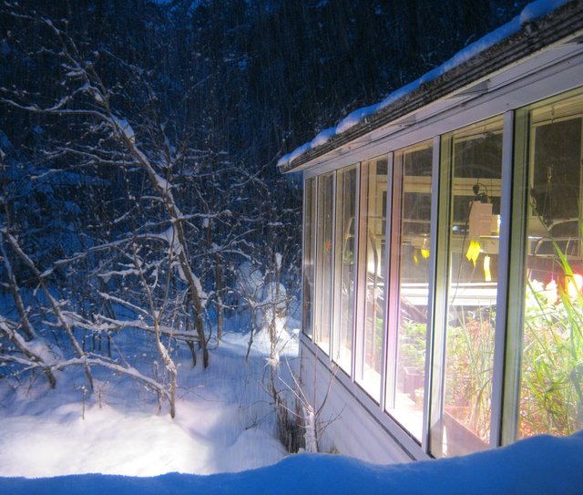 snowy scene outside bright warm scene inside sun room.JPG