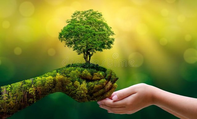 environment-earth-day-hands-trees-growing-seedlings-bokeh-green-background-female-hand-holding-tree-nature-field-gra-130247647.jpg