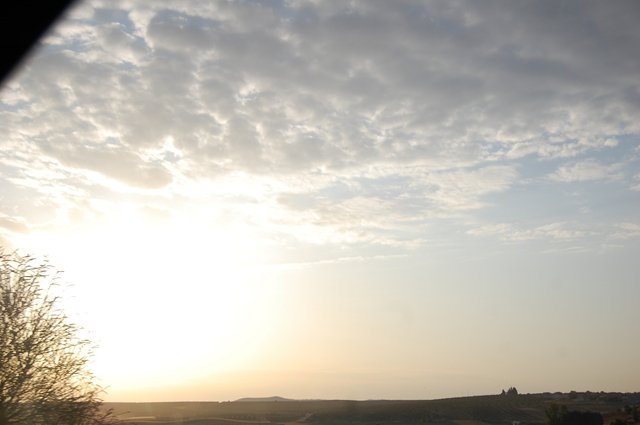 k-DSC_0449.JPG