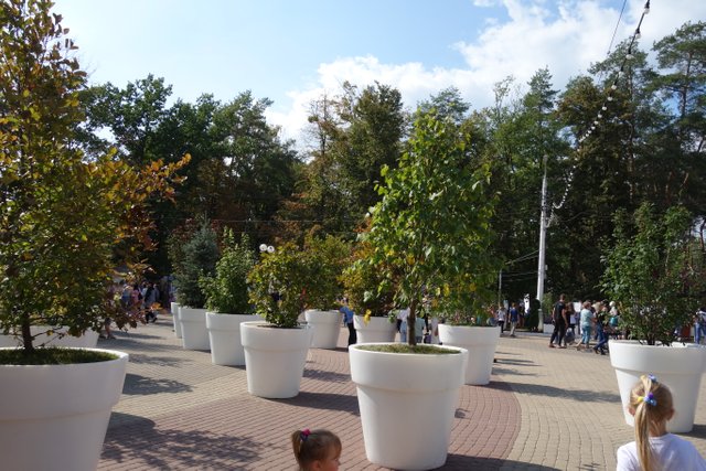 DSC03870.JPG