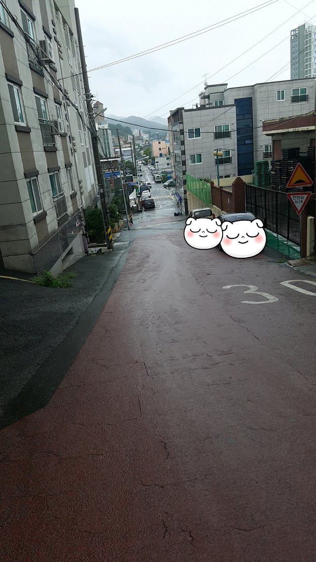 KakaoTalk_20210823_130542811.jpg