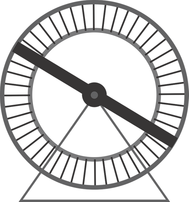 hamster-wheel-2730807_960_720.png