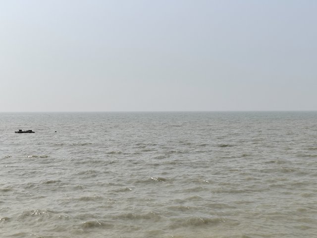 IMG_20250224_122659.jpg
