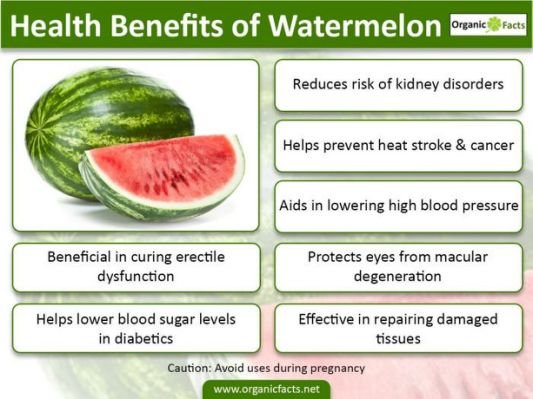 watermeloninfo02.jpg.cf.jpg