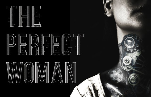 the_Perfect_Woman_cover.jpg