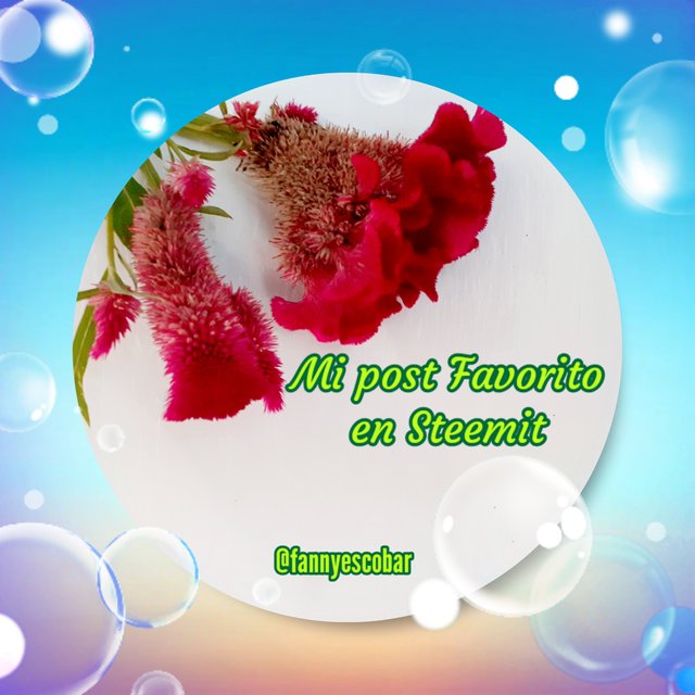photocollage_202572411125618.jpg