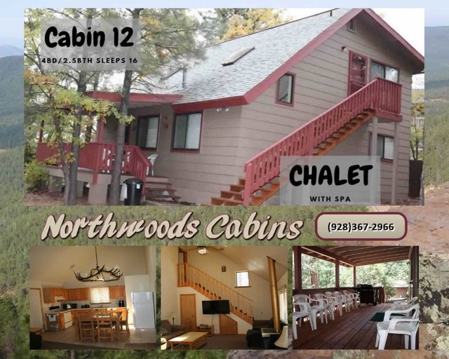 Northwoods Cabin 12.jpg