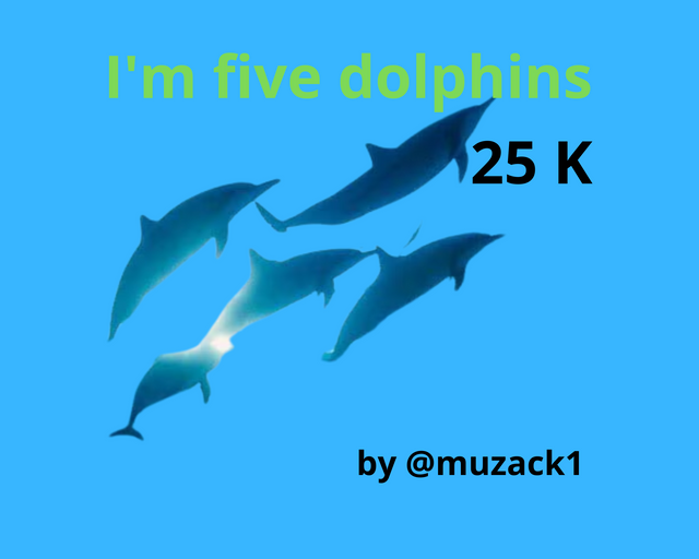 I'm five dolphins.png