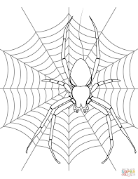 download (1).png