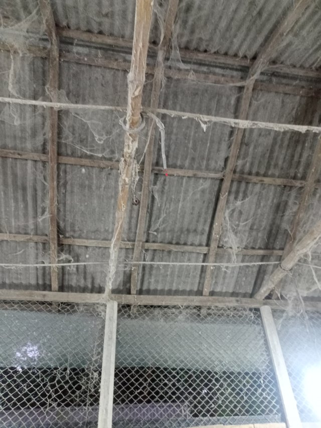 IMG20250825183159.jpg