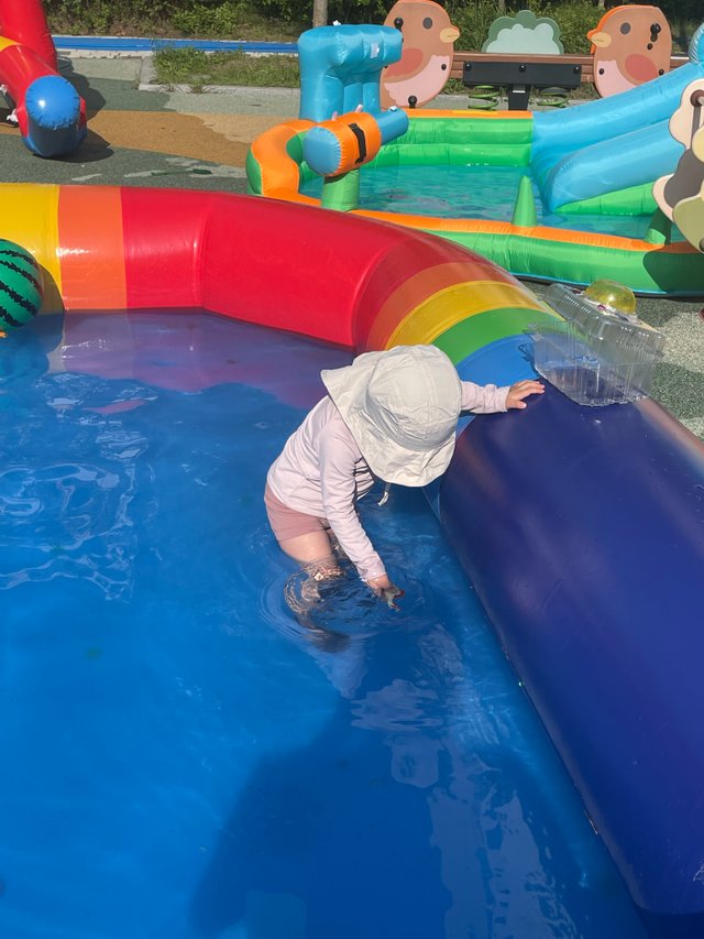 IMG_1202.jpeg